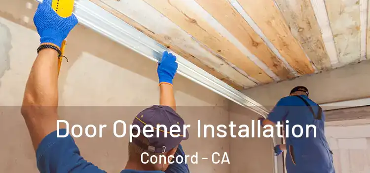  Door Opener Installation Concord - CA